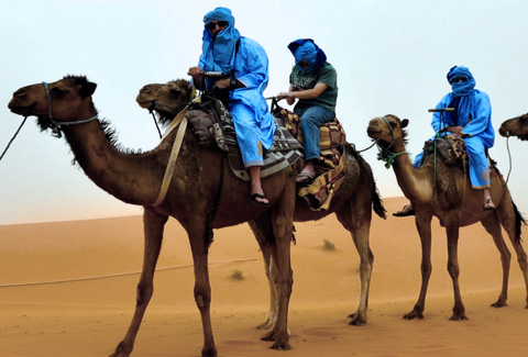 trekking à dos de chameau dans le désert du sahara