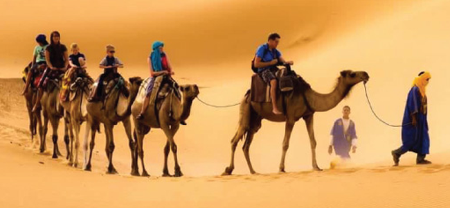 从梅尔祖卡到尔格切比沙丘的骆驼之旅