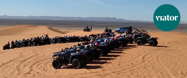 Camel Trekking in Viator